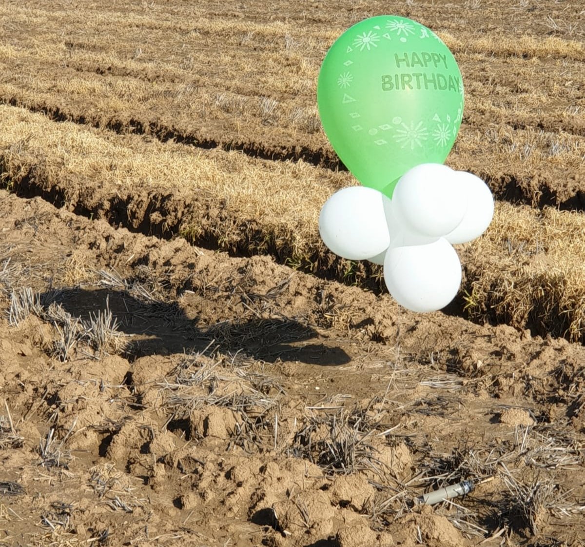 דוברות משטרה