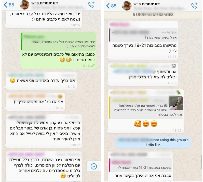 קבוצת דוגיסיטרים ב"ש