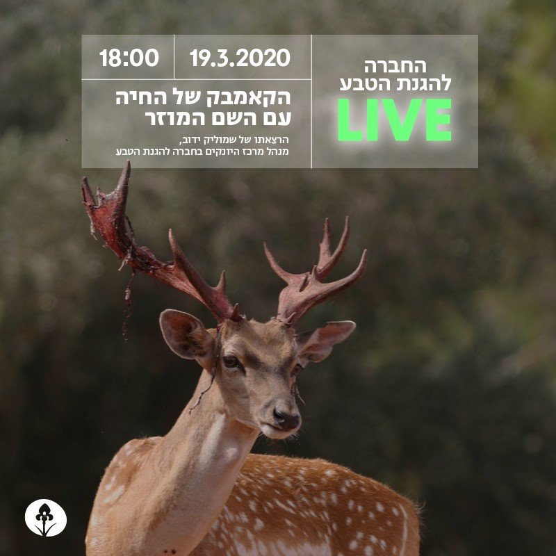 LIVE החברה להגנת הטבע אל תפספס! 