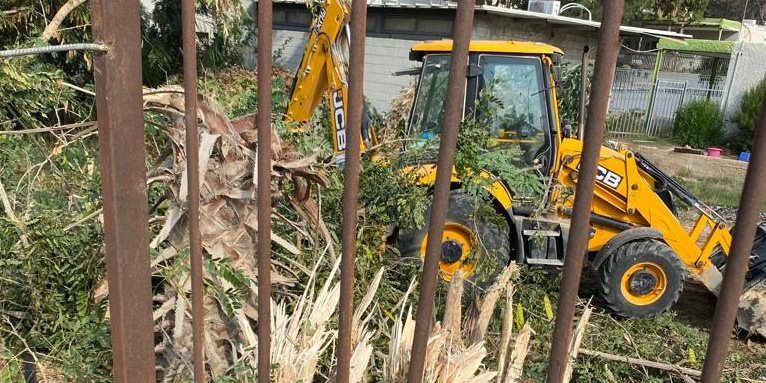 קרדיט: בלה גרשטיין. צילום פרטי