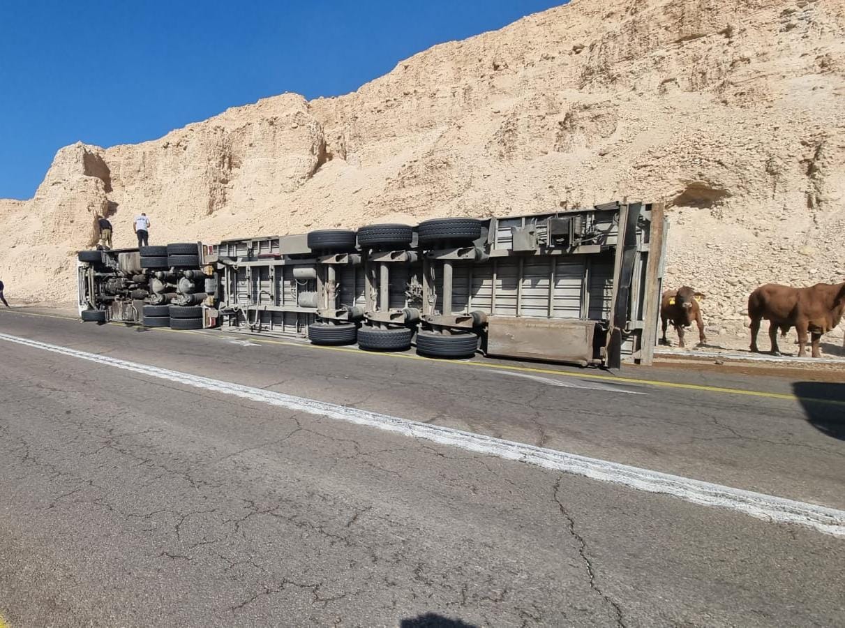 קרדיט - כבאות והצלה