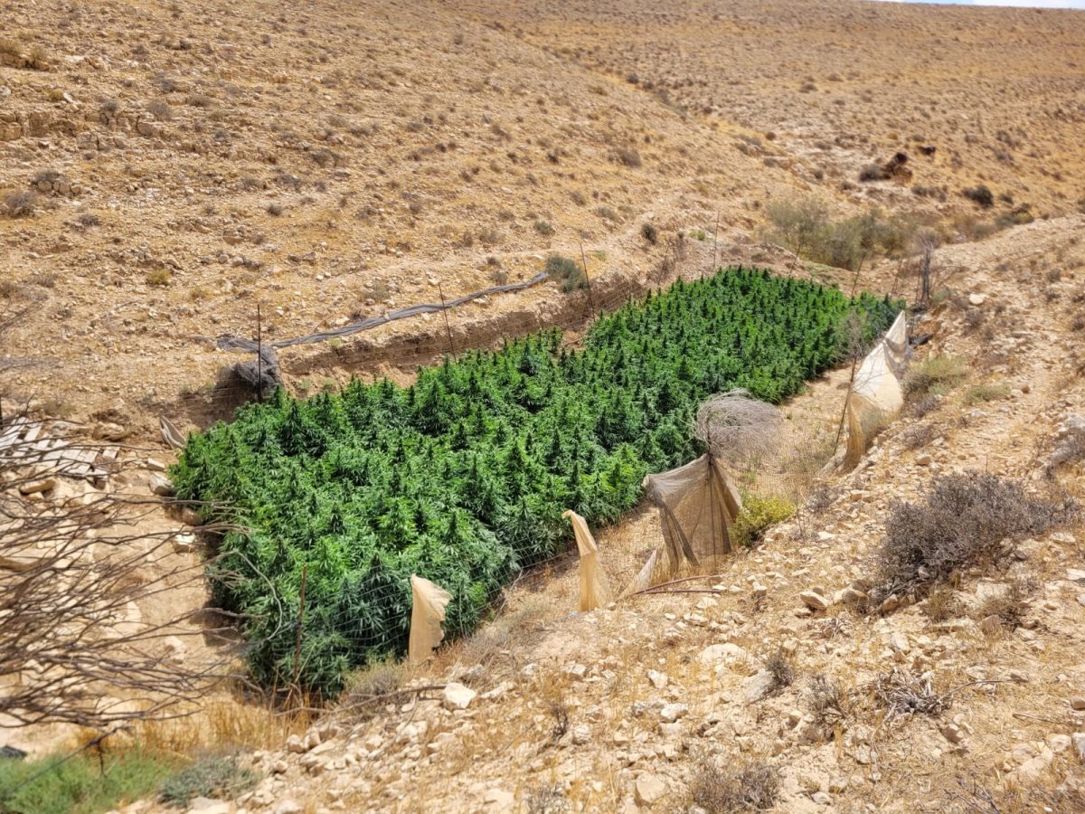 קרדיט - דוברות מרחב נגב