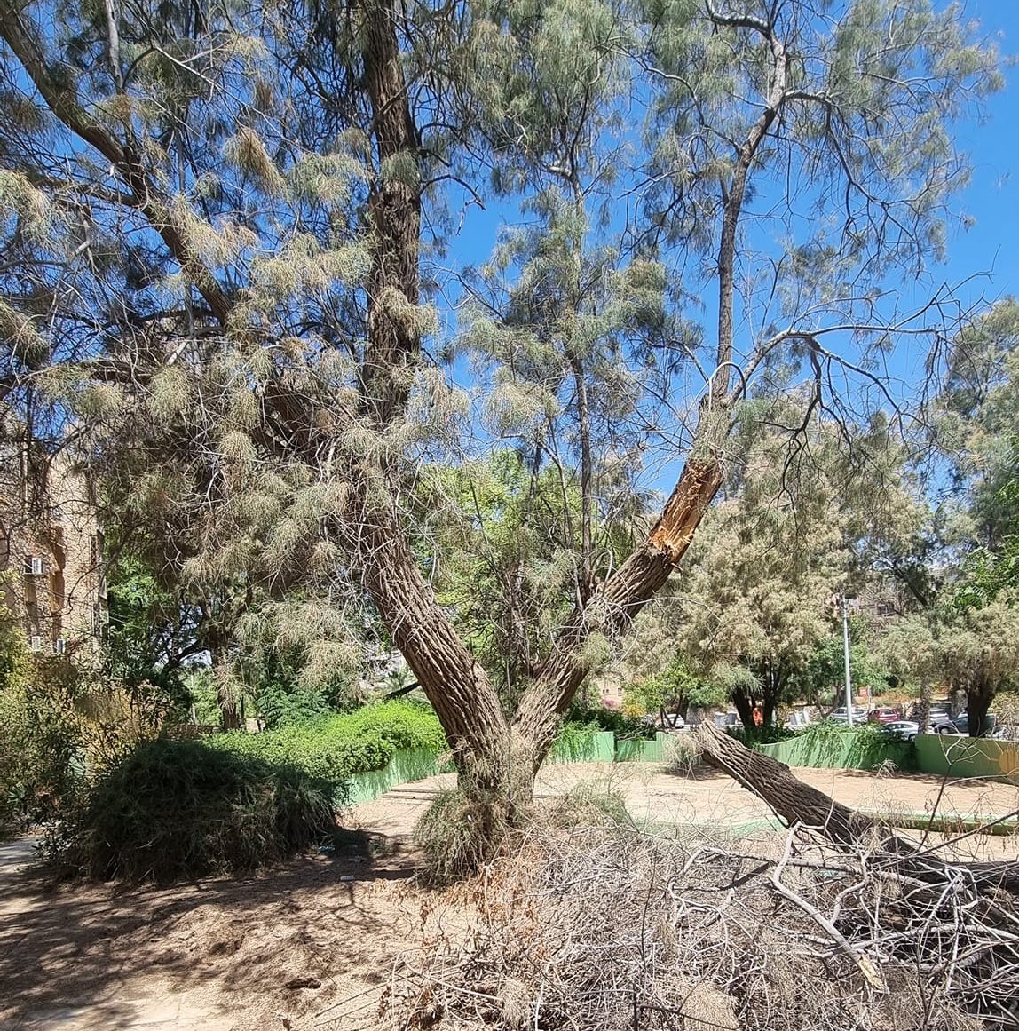 תוכן גולשים. שימוש לפי סעיף 27 א בחוק זכויות היוצרים