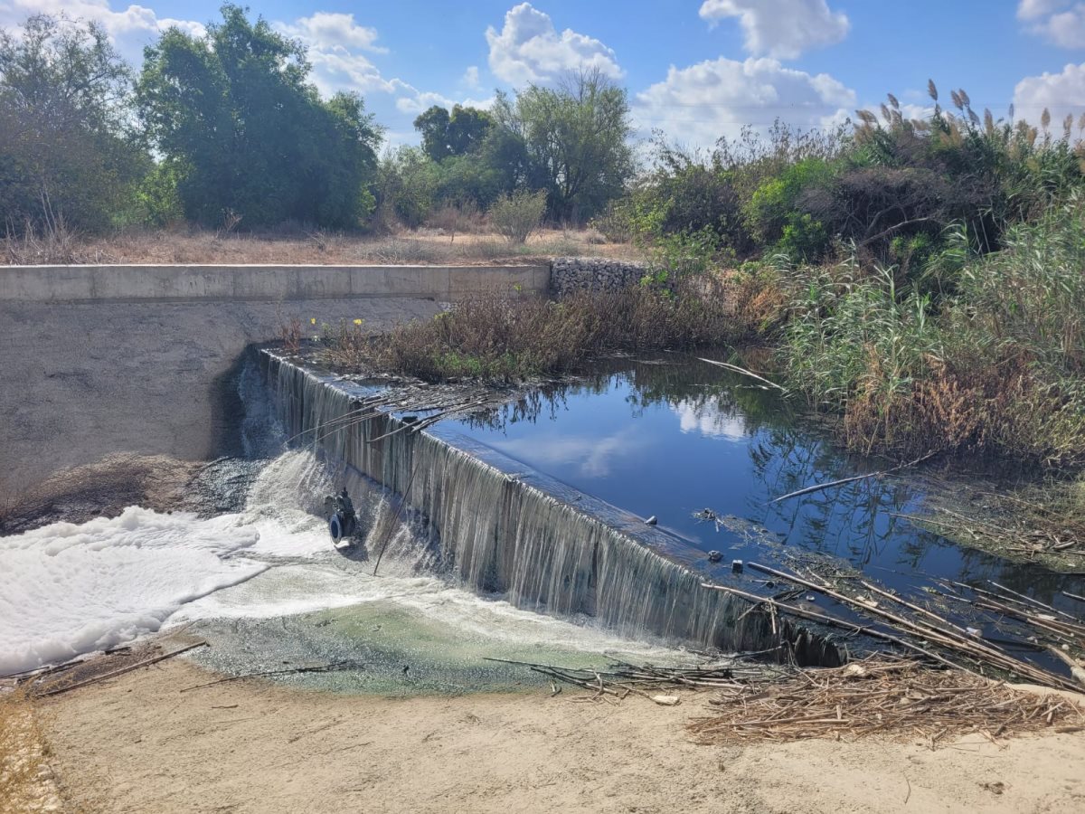 קרדיט: המשרד להגנת הסביבה