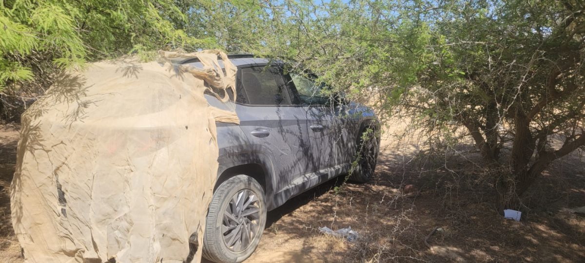 קרדיט: פוינטר