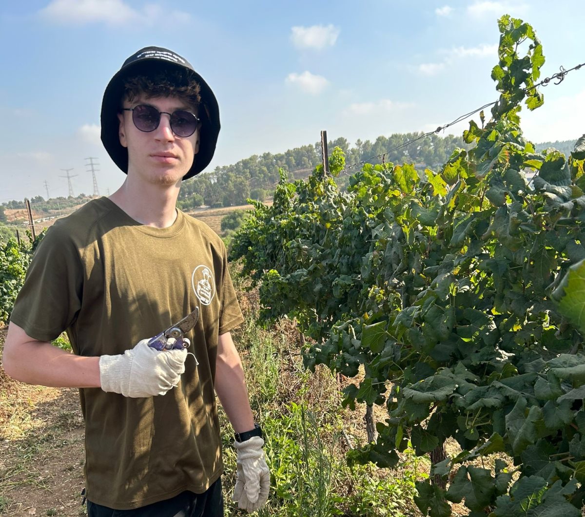 קרדיט - מקיף אמית באר שבע