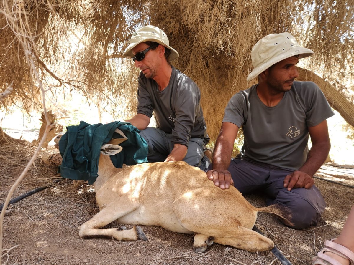 קרדיט: איתמר גורדון