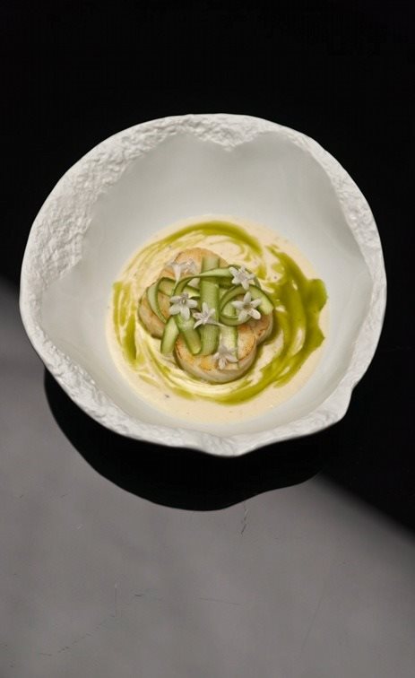 קוד עם רוטב בזיליקום_קרדיט צילום Küppersbusch studio 1