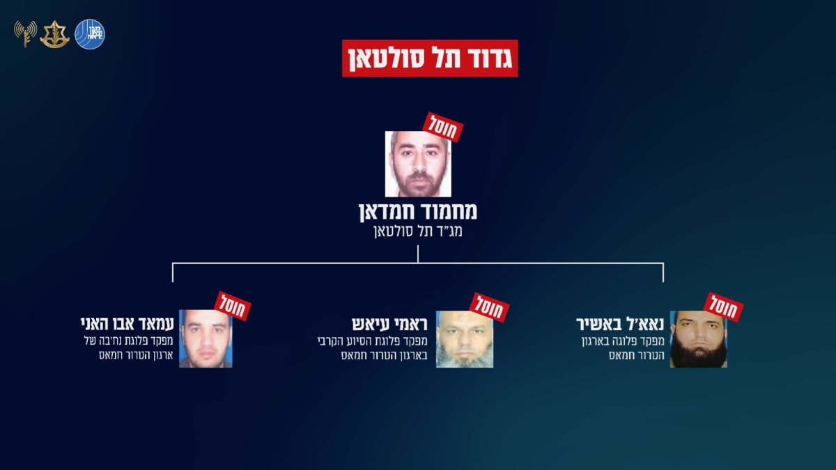 קרדיט: דובר צה"ל