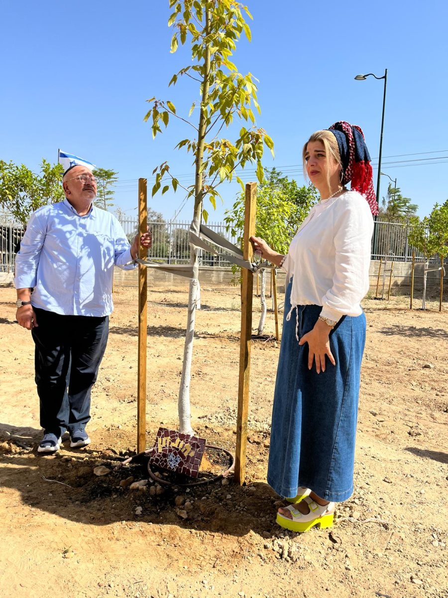 קרדיט מקיף אמית