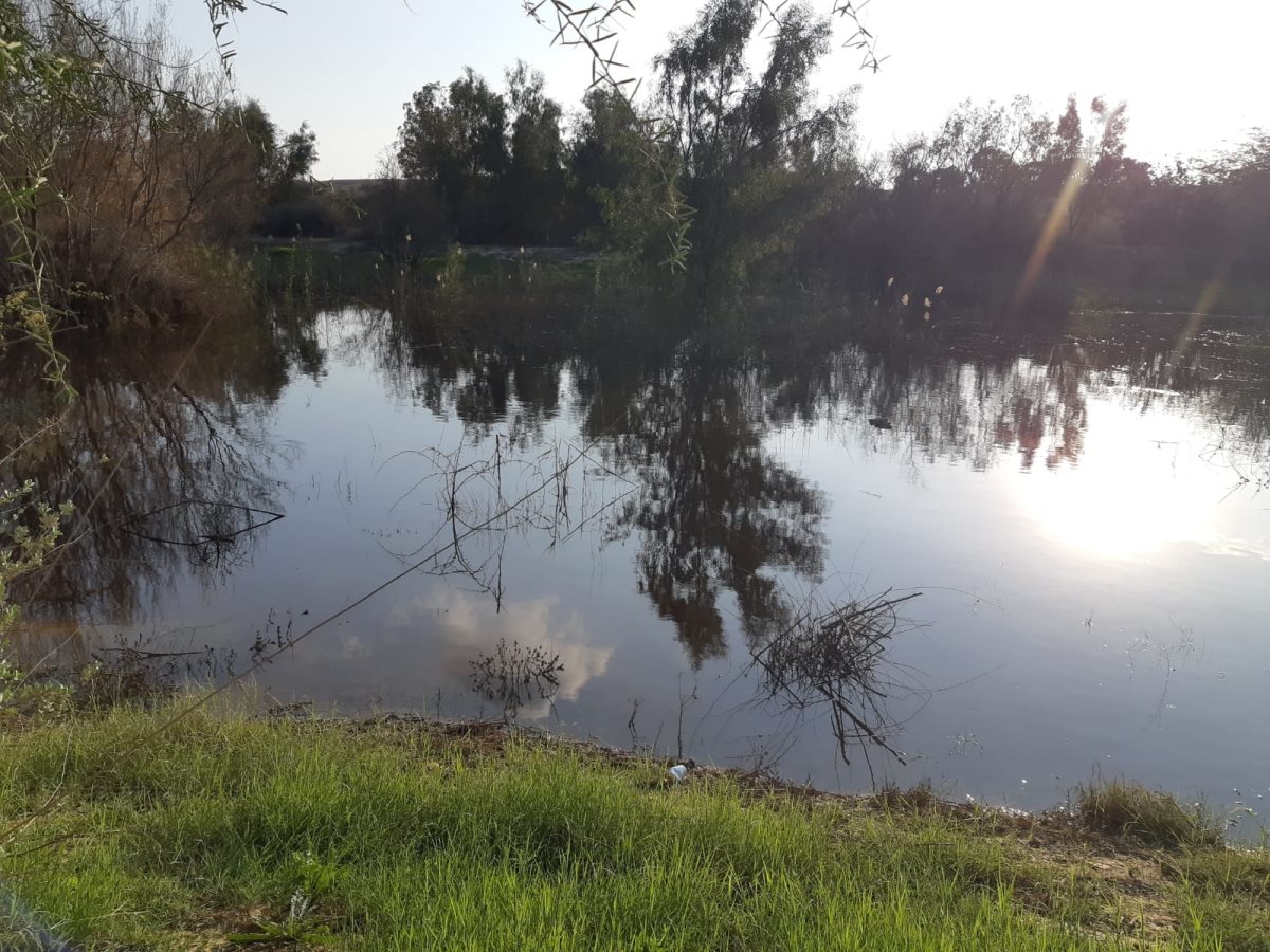 נחלים בבאר שבע. באדיבות עיריית באר שבע