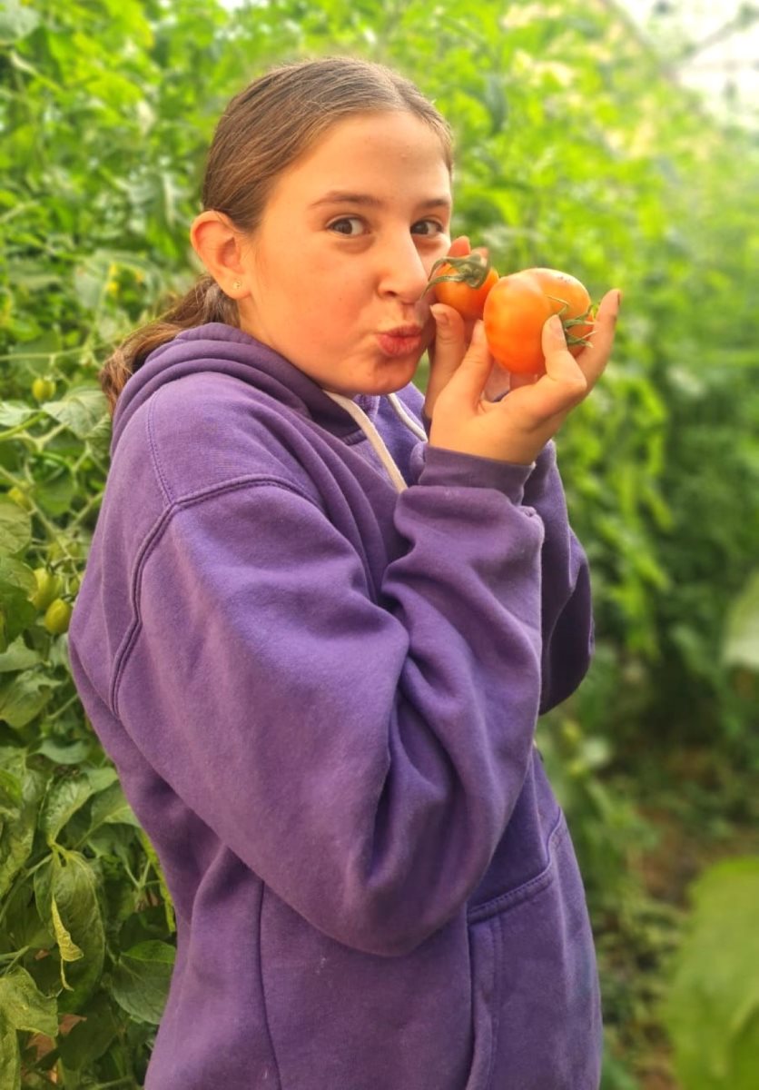 עבודת צילום של תלמידי בית הספר שיטים שתוצג בתערוכה בטו בשבט -צילום חניכי החווה