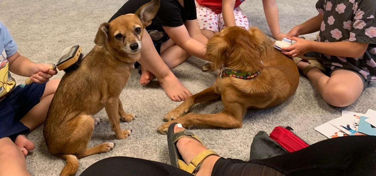 קרדיט: כללית