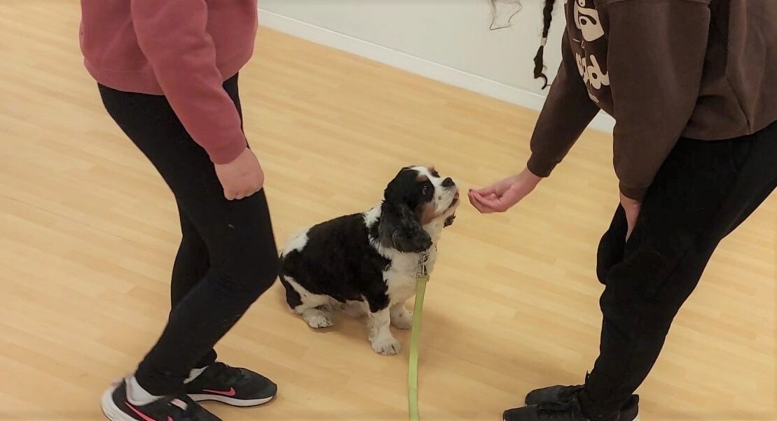 קרדיט: כללית