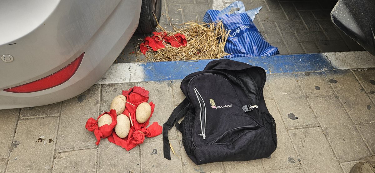 קרדיט דוברות המשטרה