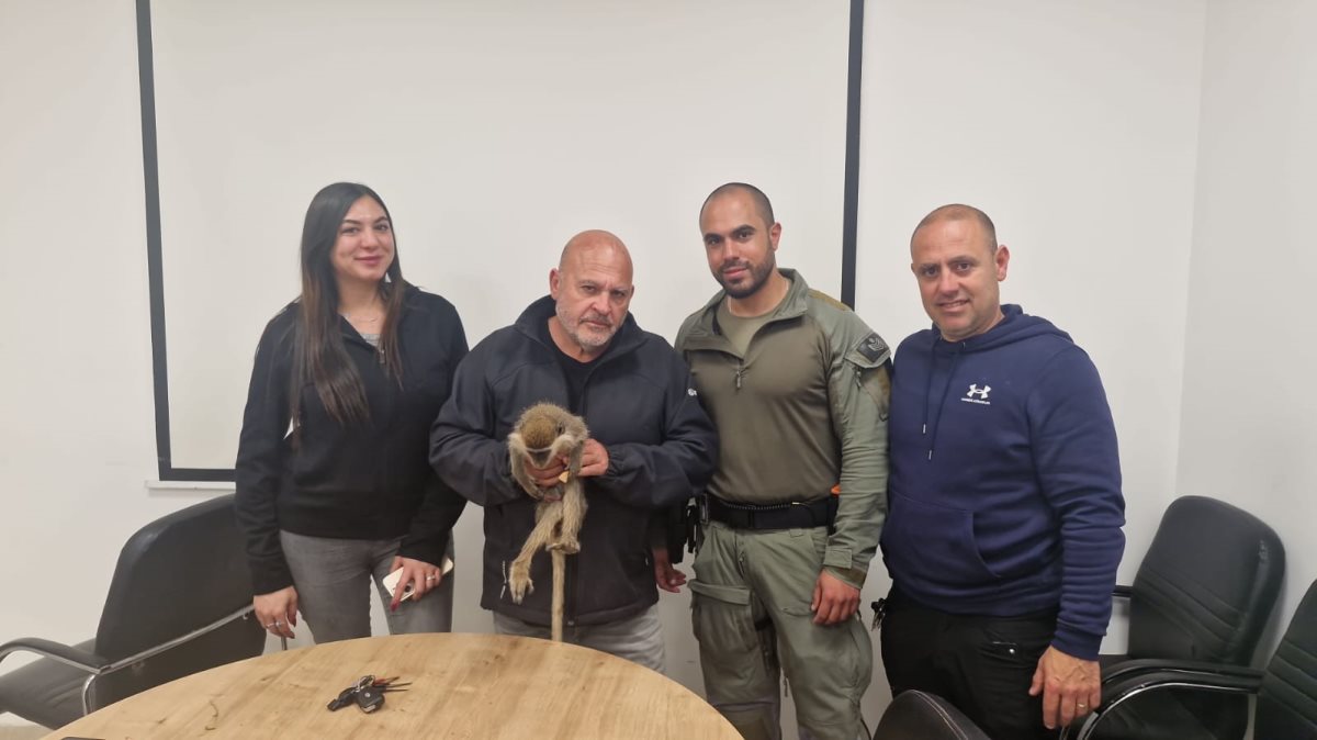 קרדיט: משטרת ישראל