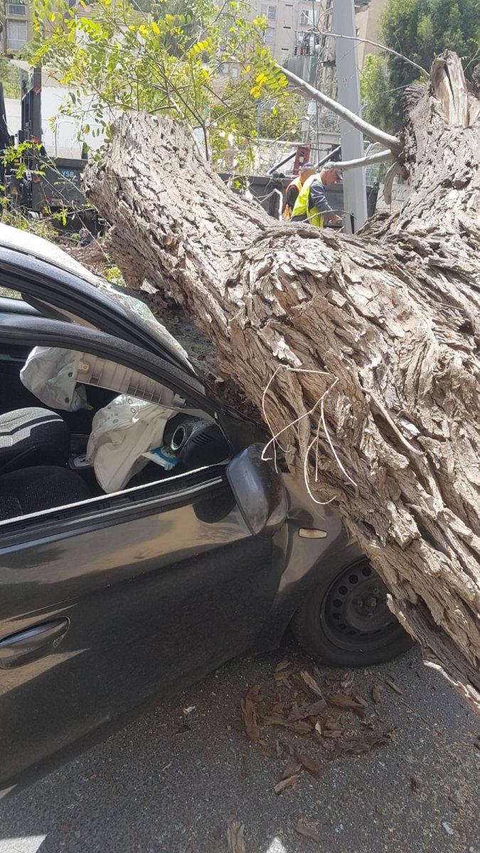 קרדיט: תוכן גולשים ע"פ סעיף 27א'
