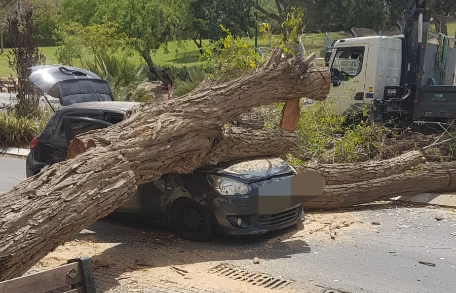 קרדיט: תוכן גולשים ע"פ סעיף 27א'