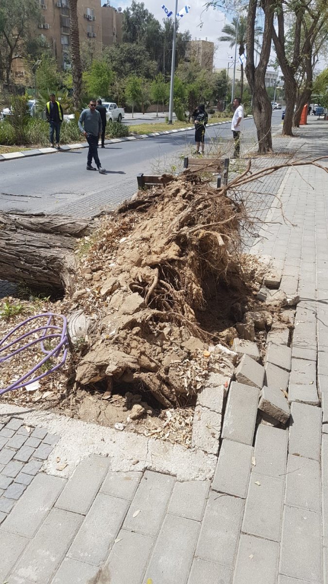 קרדיט: צילום פרטי