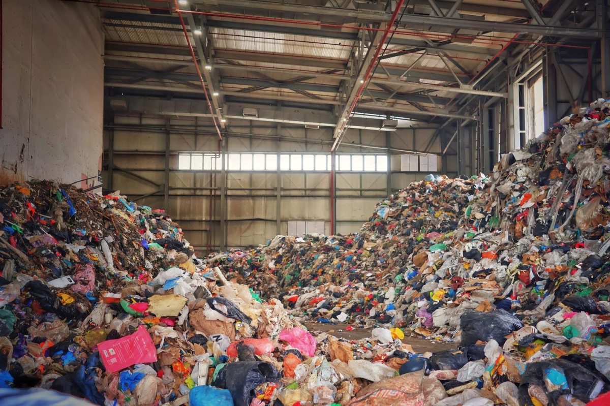 קרדיט: חזי נקאש