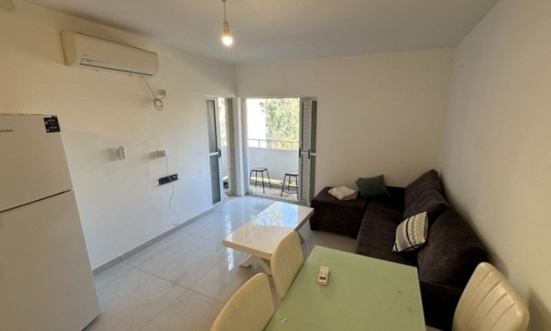 דרך מצדה. קרדיט - רימקס