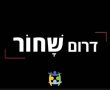 מועצת התלמידים והנוער הארצית קוראים לכם להצטרף  להעלאת המודעות של הטרור בדרום