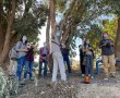 מחנכים לעולם ירוק יותר - גם בחנוכה