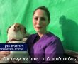 כיצד תסייעו להולכים על ארבע בזמן חירום ובעת הישמע אזעקה? (וידאו)