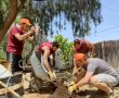 הפרויקט שישנה את פני השכונות הוותיקות בעיר