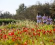 יוצאים לרוץ: מירוץ הכלניות השנתי